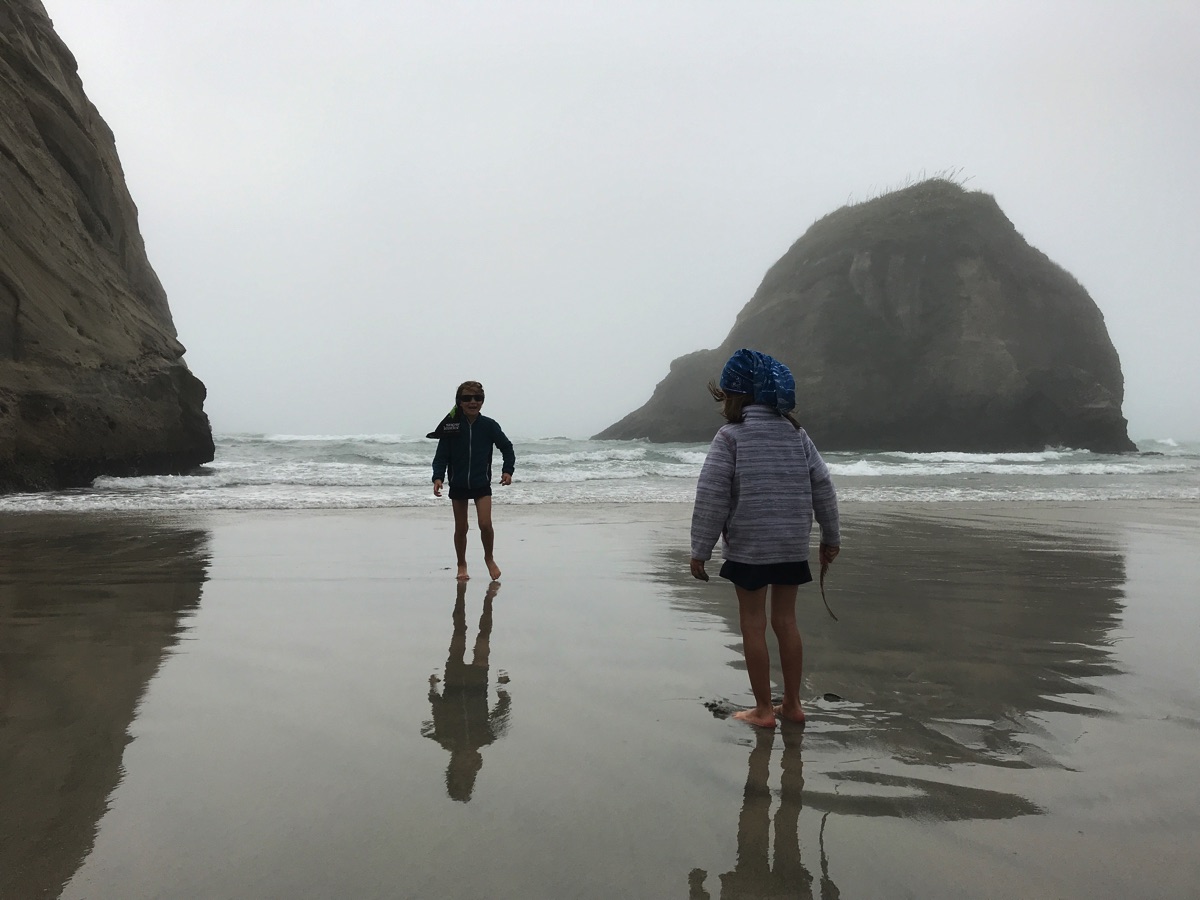Wharariki beach