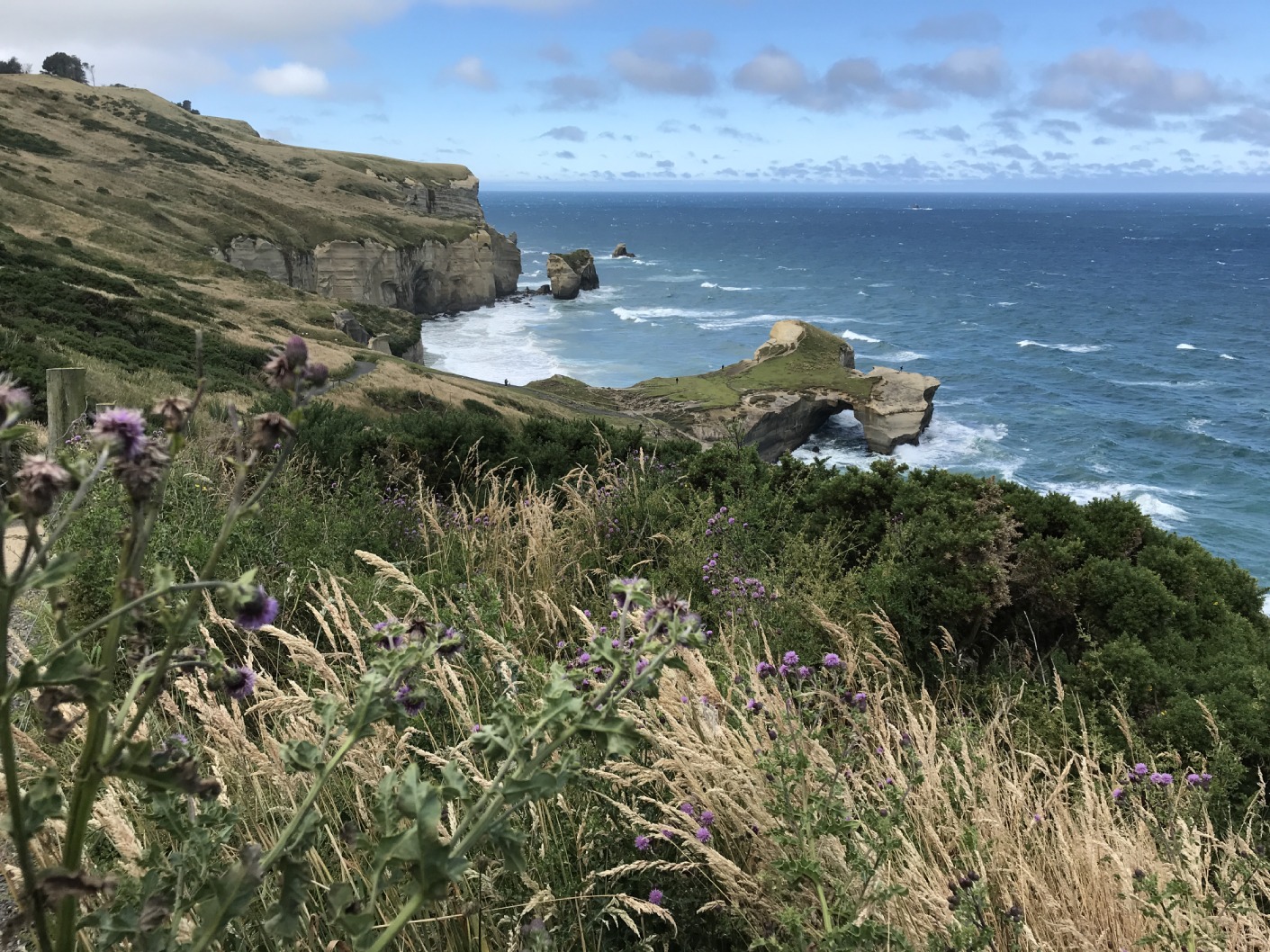 Dunedin – jour 1