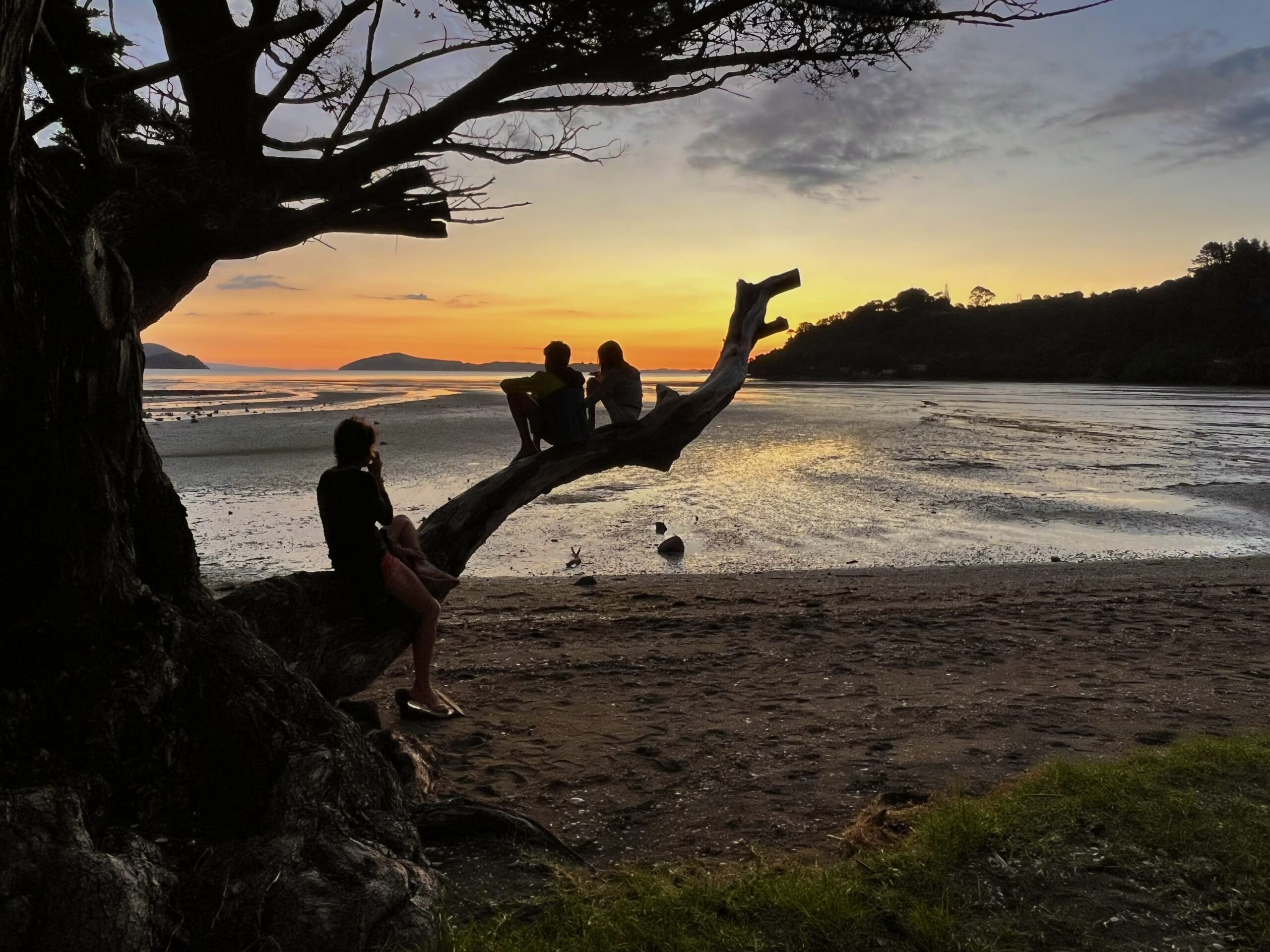 Une soirée en Nouvelle Zélande