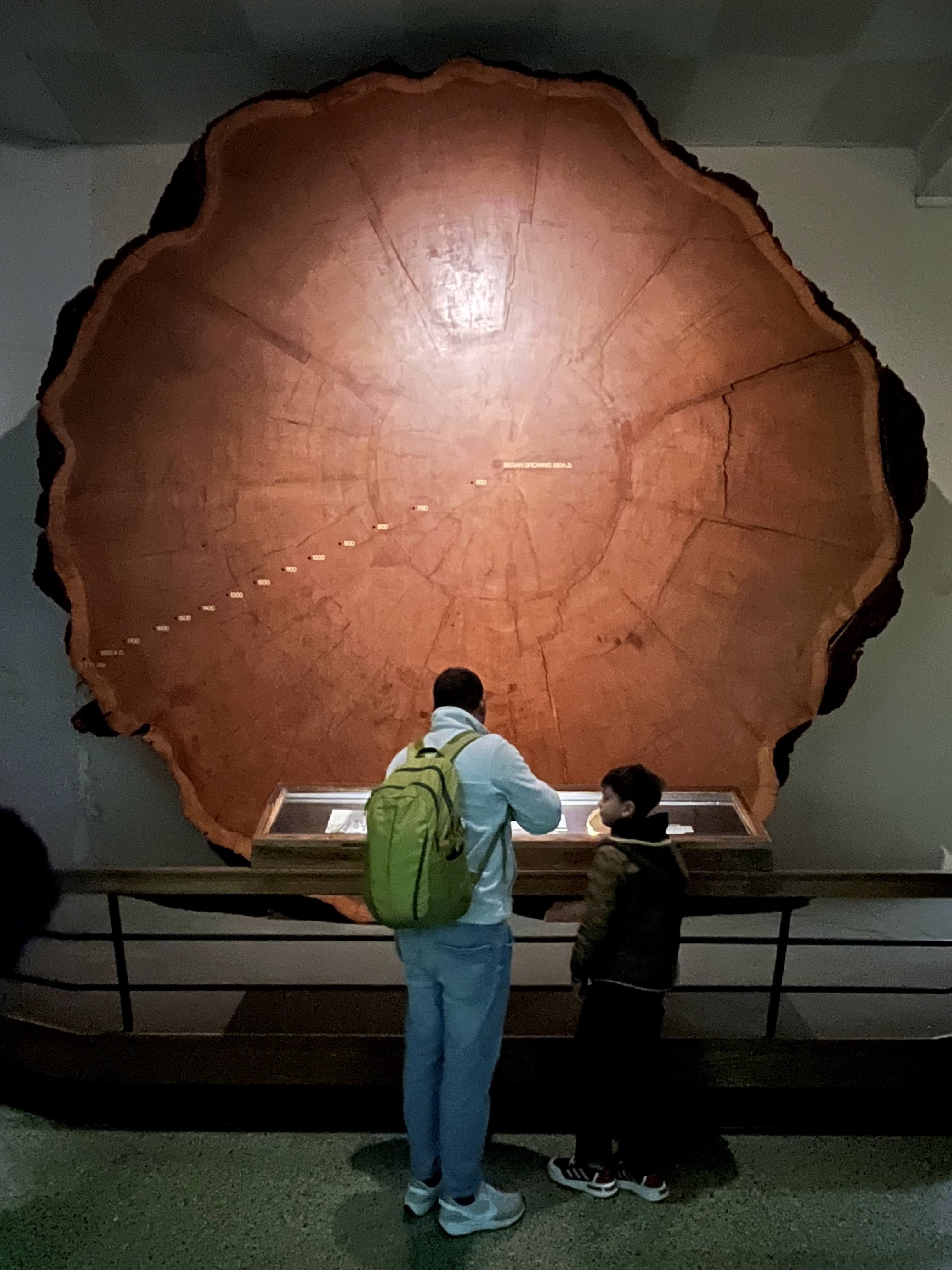 Musée américain d’histoire naturelle