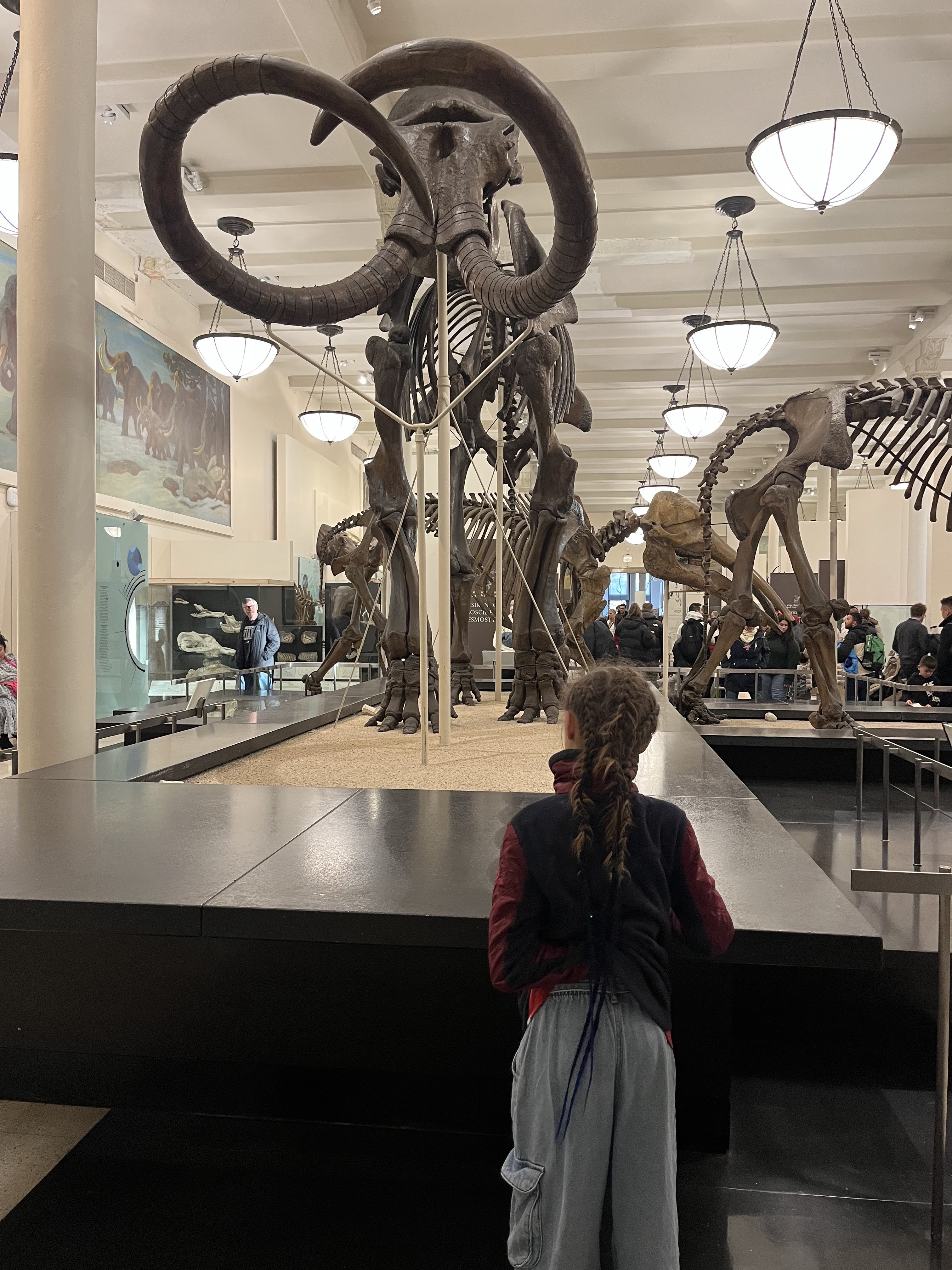 Musée américain d’histoire naturelle