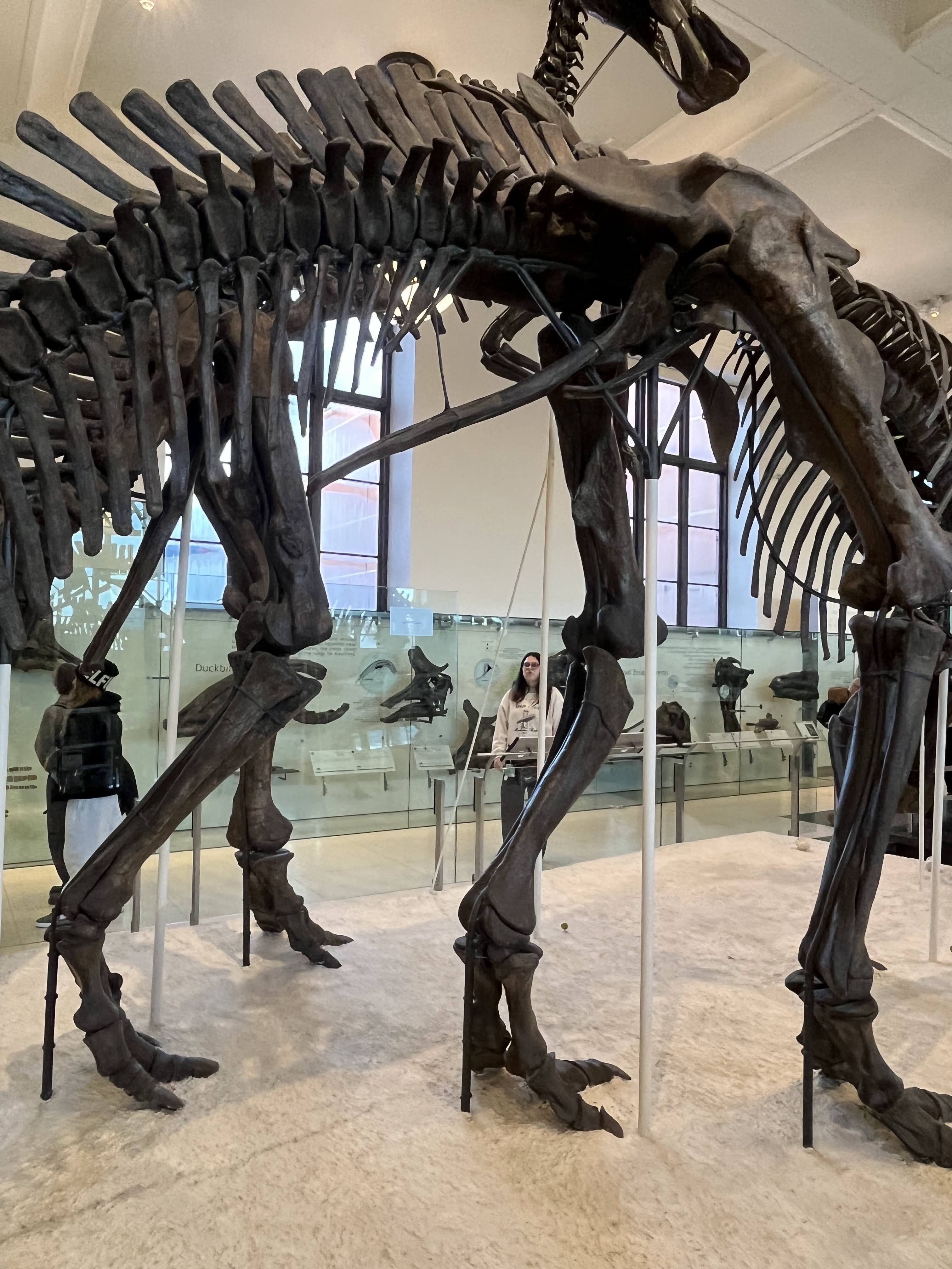 Musée américain d’histoire naturelle